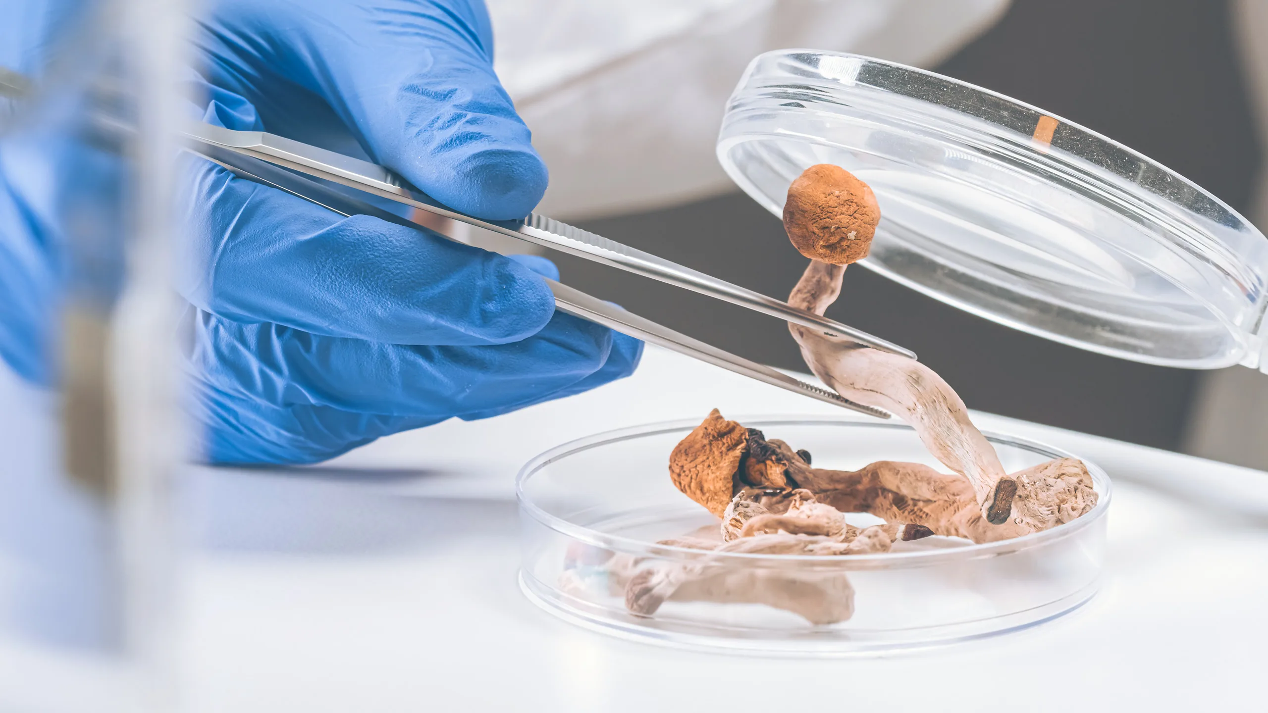 What Role Do Psychedelics Play in Mental Health Care? Separating Fact From Fiction