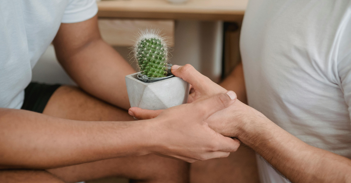 Two men holding hands. One person holding a cactus.