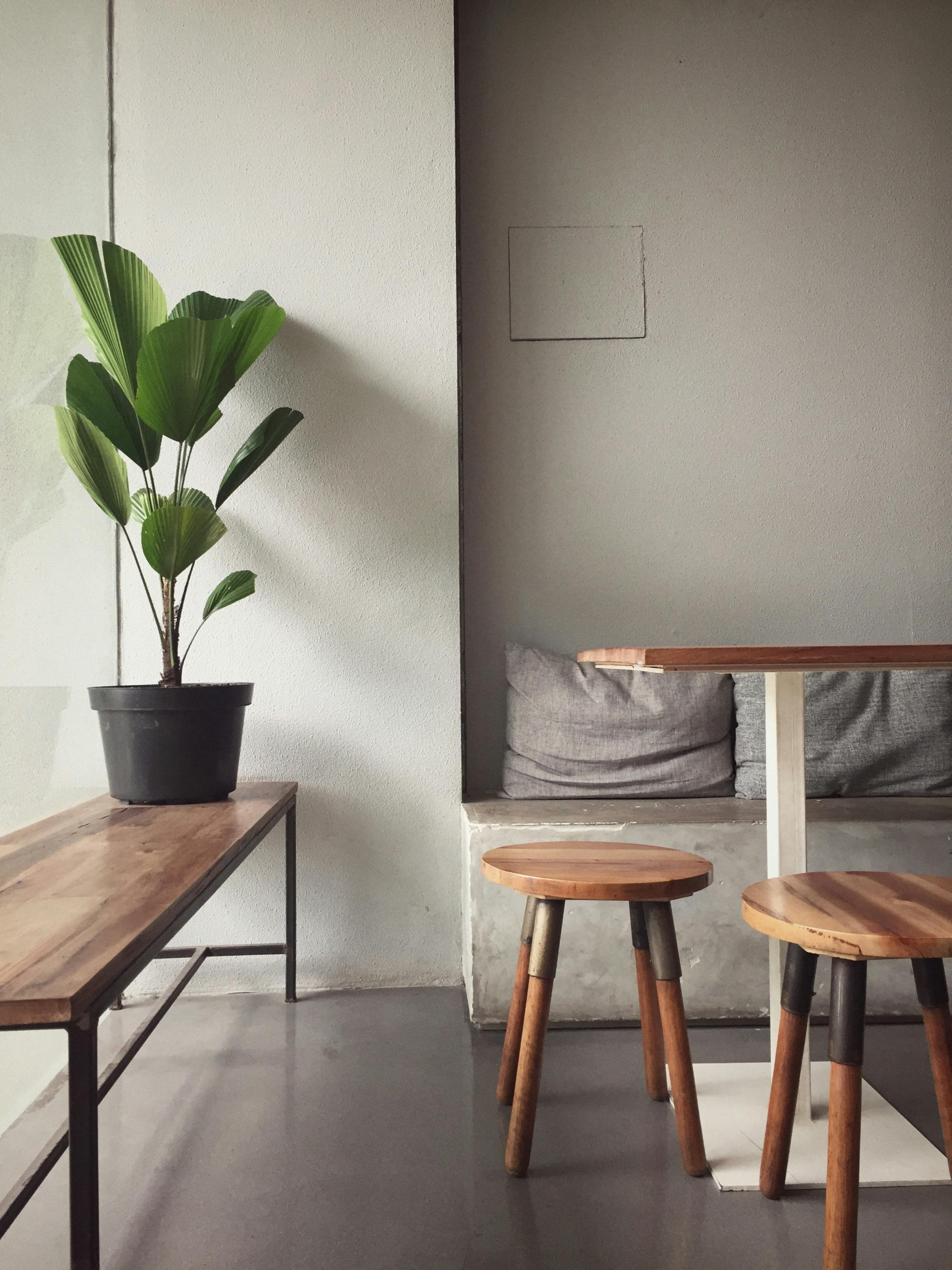 a room with a green plan on a table, two chairs and a couch